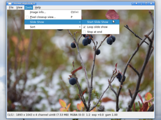 startv "iv", open file, Menu->Tools->Slide Show