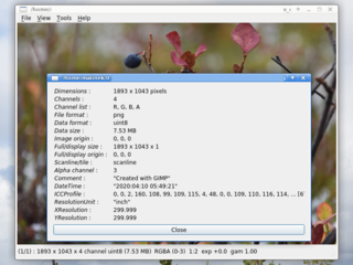 Menu->Tools->Image Info (don`t view original JPG and NEF)