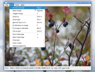 Menu->View->Zoom In (Out)