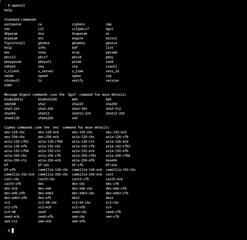 Secure Sockets Layer toolkit - cryptographic utility