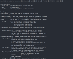 virtual private network daemon