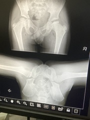 Lightweight, RESTful DICOM server for medical imaging