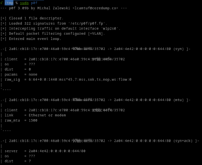 Passive OS fingerprinting tool