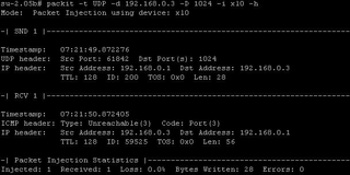 network packet generator and capture tool