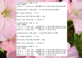 mov -> flac (and mp3)