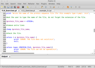 Perl Application Development and Refactoring Environment