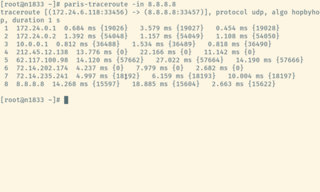 multipath traceroute
