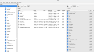 extremely fast and lightweight file and desktop icon manager