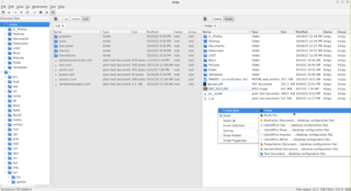 extremely fast and lightweight file and desktop icon manager