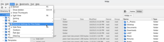 extremely fast and lightweight file and desktop icon manager