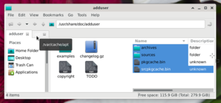 Menu->View->Dual Pane Mode