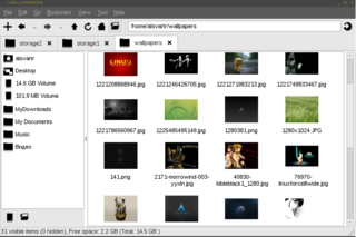 extremely fast and lightweight file manager