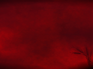 Peace look - Wallpapers