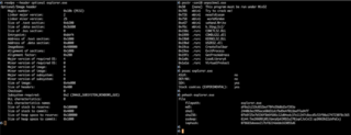 Example usage of readpe, pestr, pesec and pehash from pev toolkit