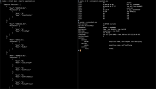 Example usage of readpe, pedis and pescan from pev toolkit