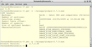 text-based tool to analyze PE files (transitional package)