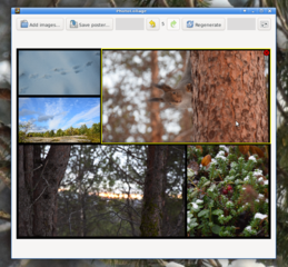 Graphical tool to make photo collage posters