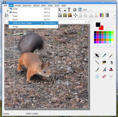 Select->Paste As New Image