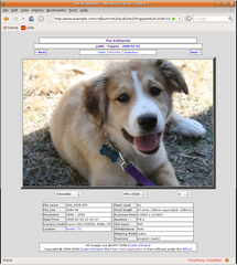 web application for browsing your pictures
