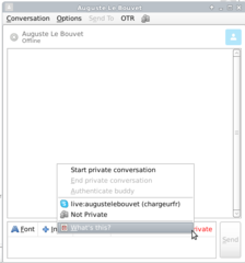 Main menu of pidgin-otr, it permits to start and end conversations.