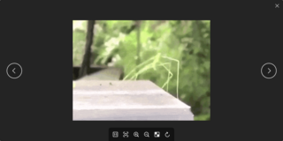 Lightweight Qt5 image viewer