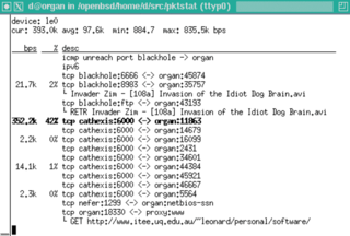 top-like utility for network connections usage