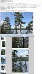 create posters and banners from multiple glued-together pages