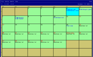 Customized view with some sample appointments