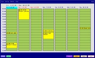 Customized week view with some sample appointments