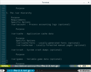 vim and tmux statuslines using Powerline