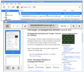 view pdf