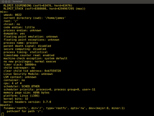 Utility to show process environment