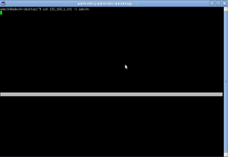PuTTY terminal emulator
