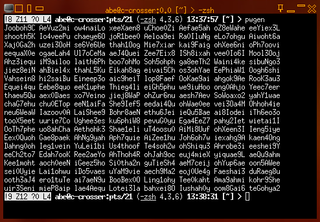 Automatic Password generation