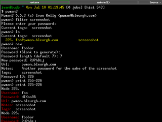 console password management application