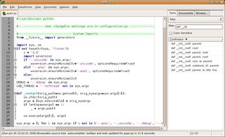 Python programmers editor