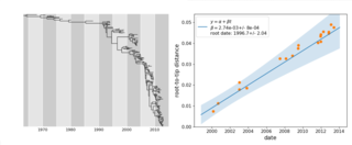 inference of time stamped phylogenies and ancestral reconstruction