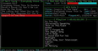 Music jukebox with advanced features for DJs and a text-mode user interface