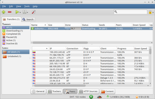 qBittorrent Peers