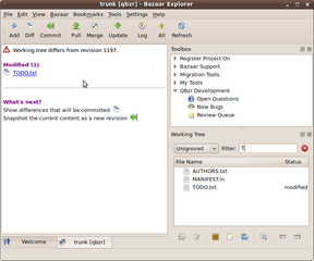 Graphical interface for Bazaar using the Qt toolkit