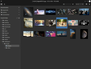 Qt5 image viewer with optional video support