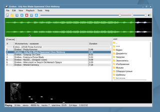 feature-rich audio player with support of many formats