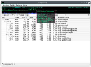 Qt process manager