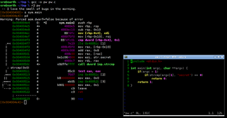 radare2's integrated disassembler