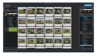 Photo downloader (importer) from cameras, memory cards, other devices
