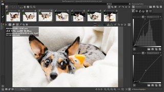 raw image converter and digital photo processor