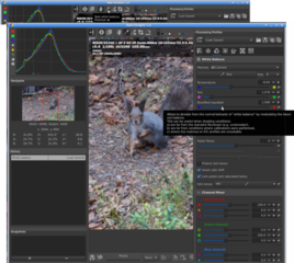 Spot white balance (NEF)