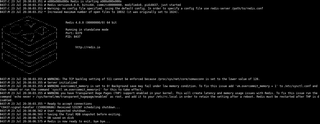 redis-server
