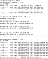 renamed files (data from EXIF)