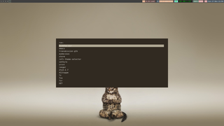 Main run dialog